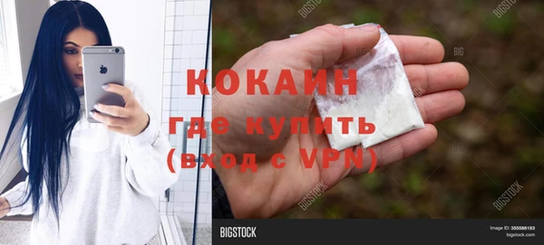 apvp Алексин