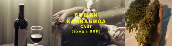 apvp Алексин