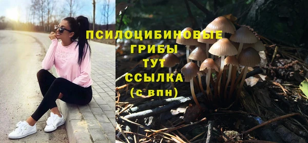 apvp Алексин
